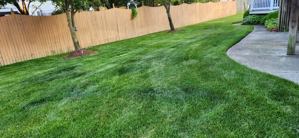 Trusted yard cleanup service experts serving Saint Charles, MD - Omar's Lawn Care