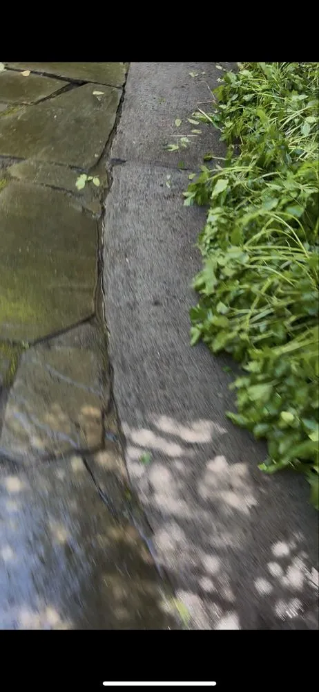 Top-rated lawn mowing service for year-round maintenance in Portland, OR by Omar’s Pressure Washing And Landscaping