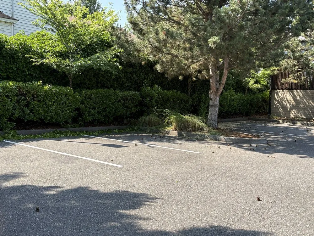 Top-rated landscape installation experts serving Portland, OR - Omar’s Pressure Washing And Landscaping