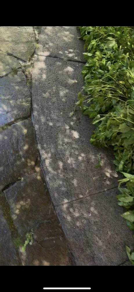 Reliable outdoor landscaping near you across Portland, OR - Omar’s Pressure Washing And Landscaping