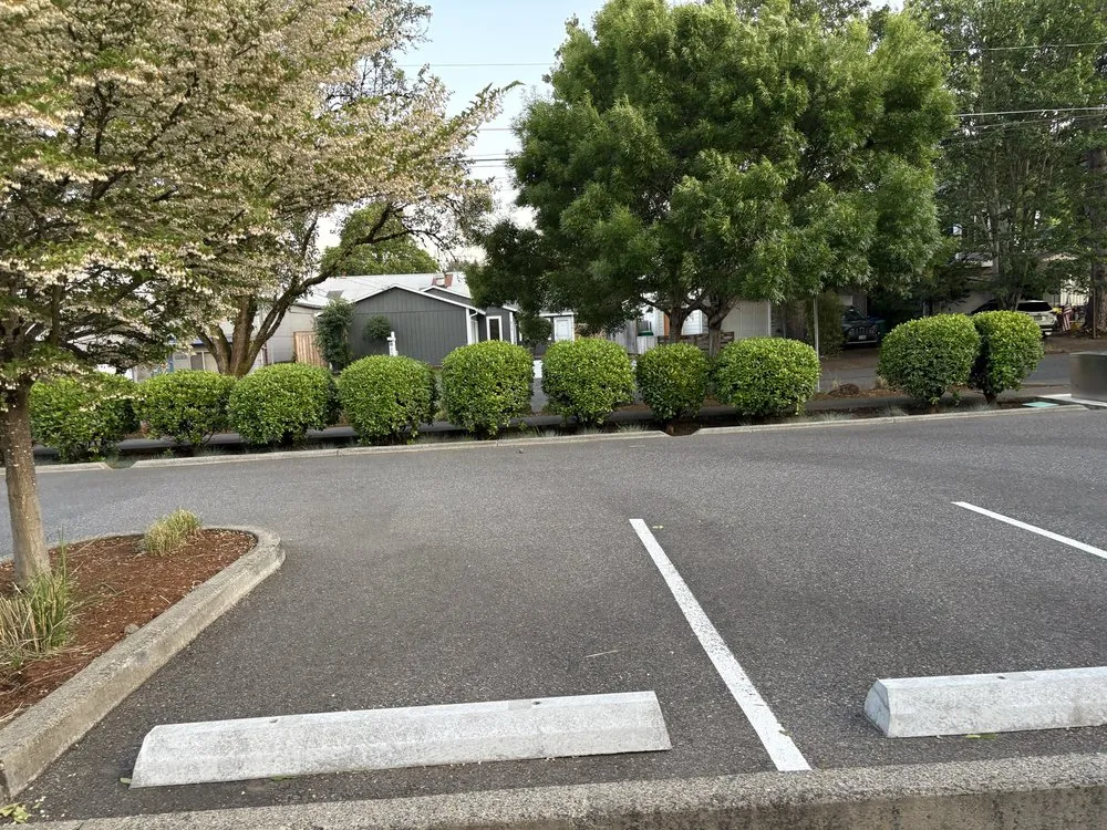 Trusted yard maintenance for year-round maintenance in Portland, OR by Omar’s Pressure Washing And Landscaping