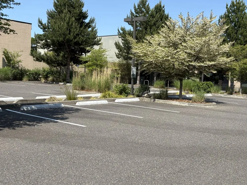 Professional residential landscaping experts serving Portland, OR - Omar’s Pressure Washing And Landscaping