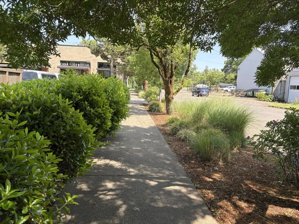 Expert lawn mowing service in Portland, OR - Omar’s Pressure Washing And Landscaping