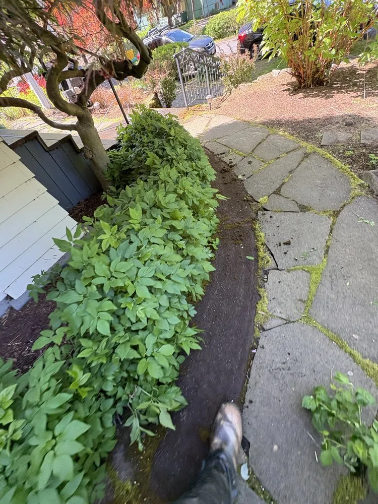 Expert residential landscaping near you in Portland, OR by Omar’s Pressure Washing And Landscaping