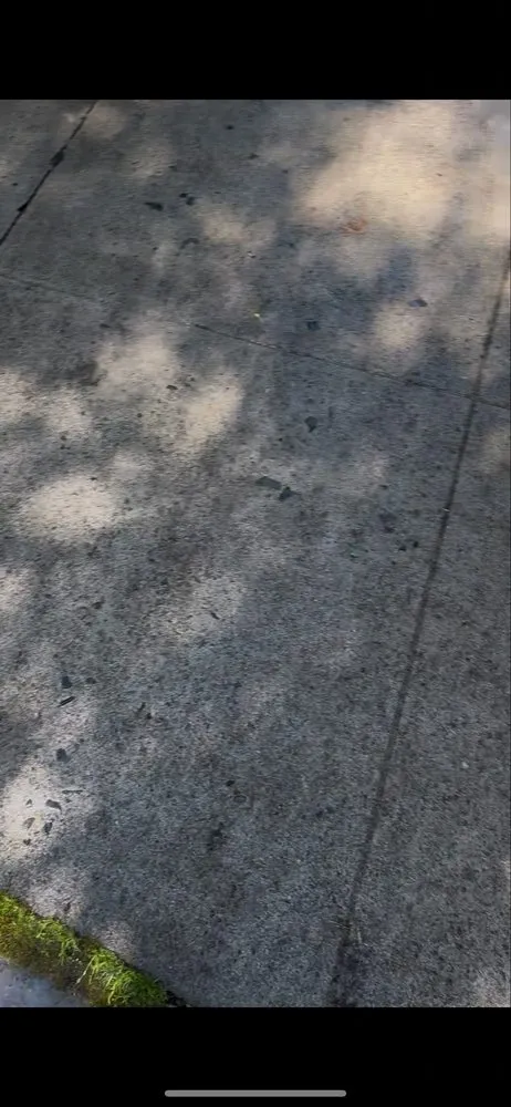 Professional garden landscaping in Portland, OR - Omar’s Pressure Washing And Landscaping