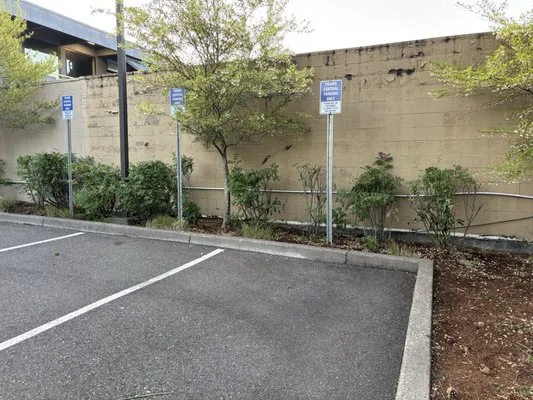 Omar’s Pressure Washing And Landscaping Logo