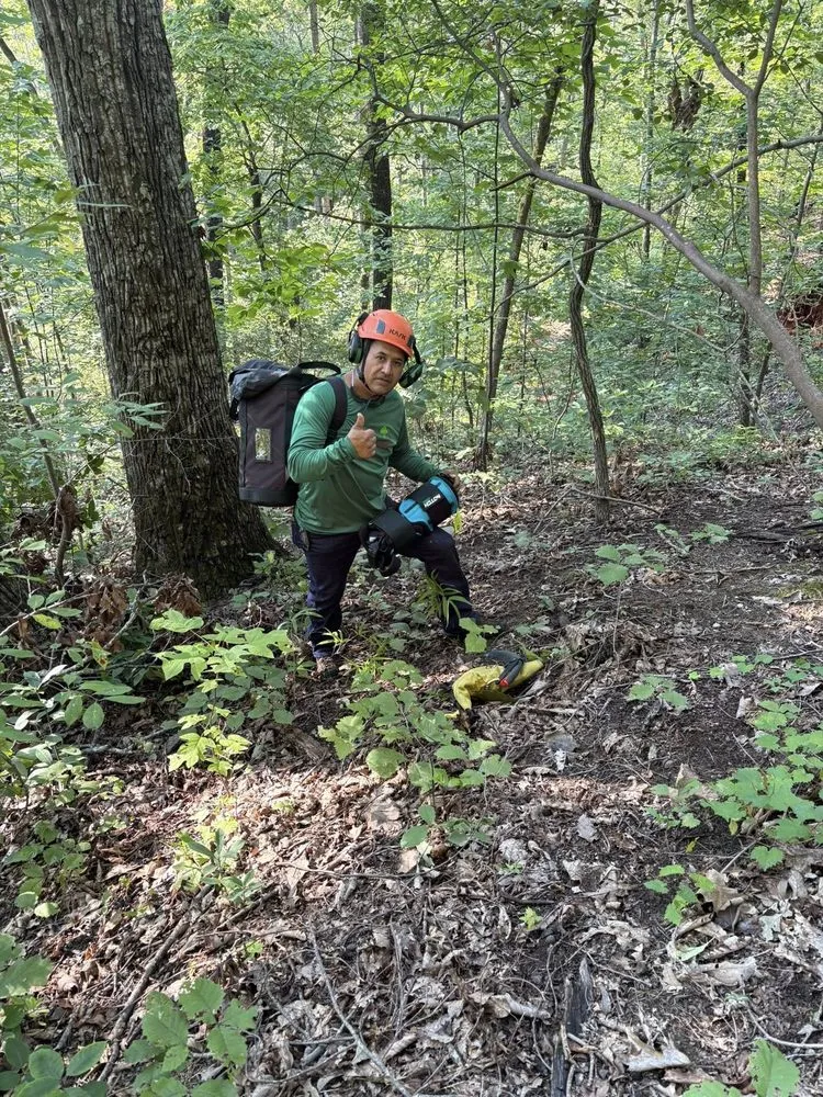 Top-rated yard maintenance for homes in Greenville, SC by Omar’s Tree & Landscaping Services