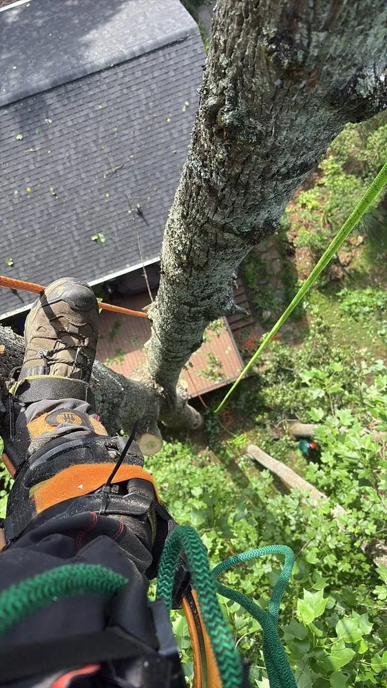 Custom landscaping services near you in Greenville, SC by Omar’s Tree & Landscaping Services