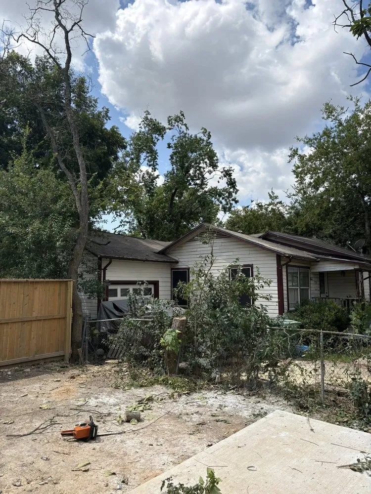 Affordable residential landscaping near you in Greenville, SC by Omar’s Tree & Landscaping Services