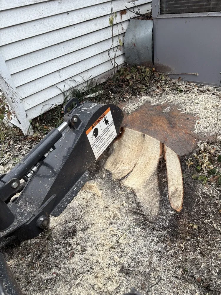 Affordable yard maintenance for beautiful yards in Greenville, SC by Omar’s Tree & Landscaping Services