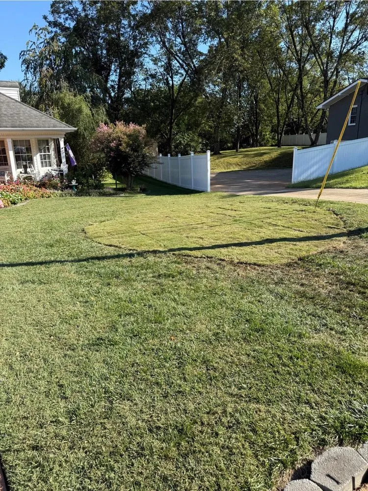 Custom yard maintenance experts serving Greenville, SC - Omar’s Tree & Landscaping Services