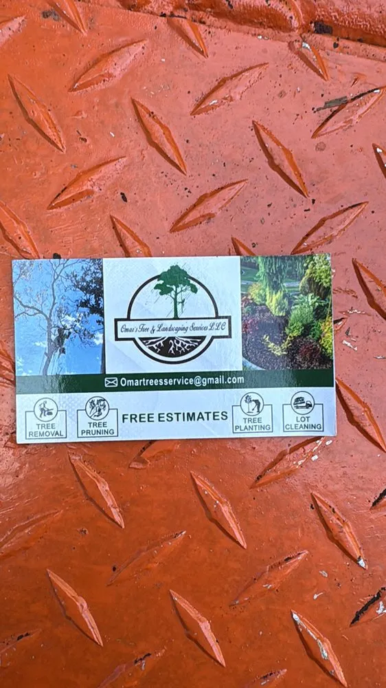 Custom lawn mowing service for year-round maintenance in Greenville, SC by Omar’s Tree & Landscaping Services