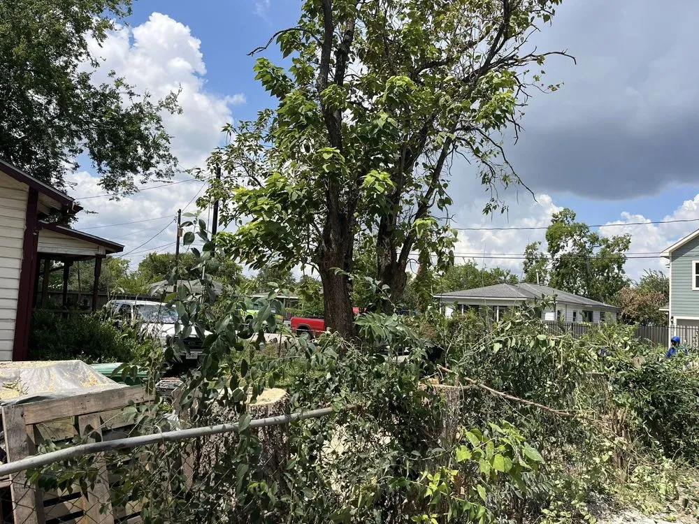 Expert landscape installation in Greenville, SC - Omar’s Tree & Landscaping Services