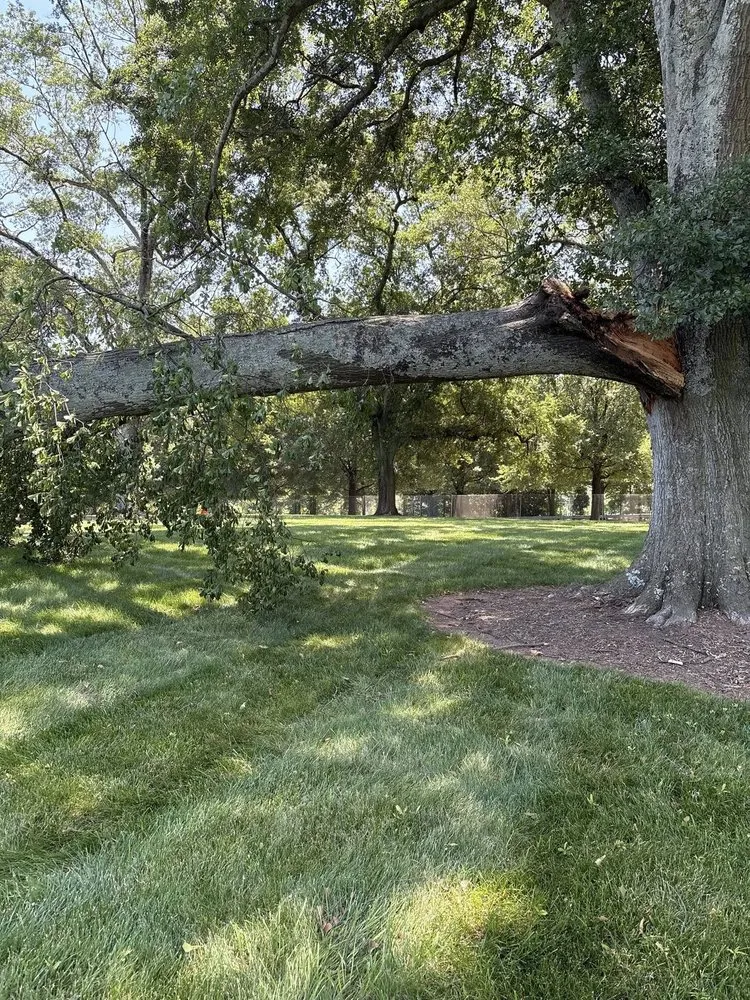 Professional garden landscaping for homes in Greenville, SC by Omar’s Tree & Landscaping Services