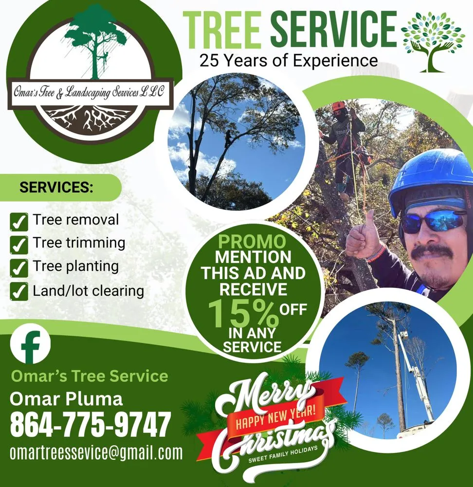 Trusted yard cleanup service in Greenville, SC by Omar’s Tree & Landscaping Services