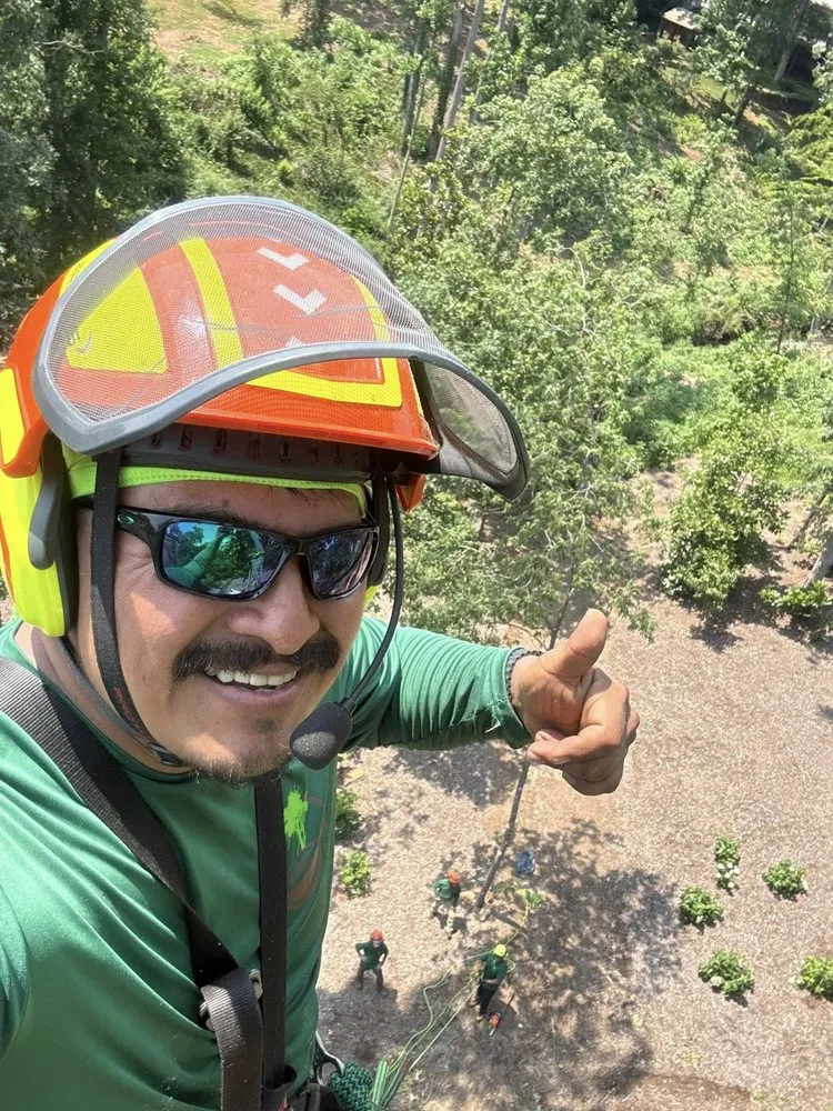 Professional outdoor landscaping for outdoor upgrades in Greenville, SC by Omar’s Tree & Landscaping Services