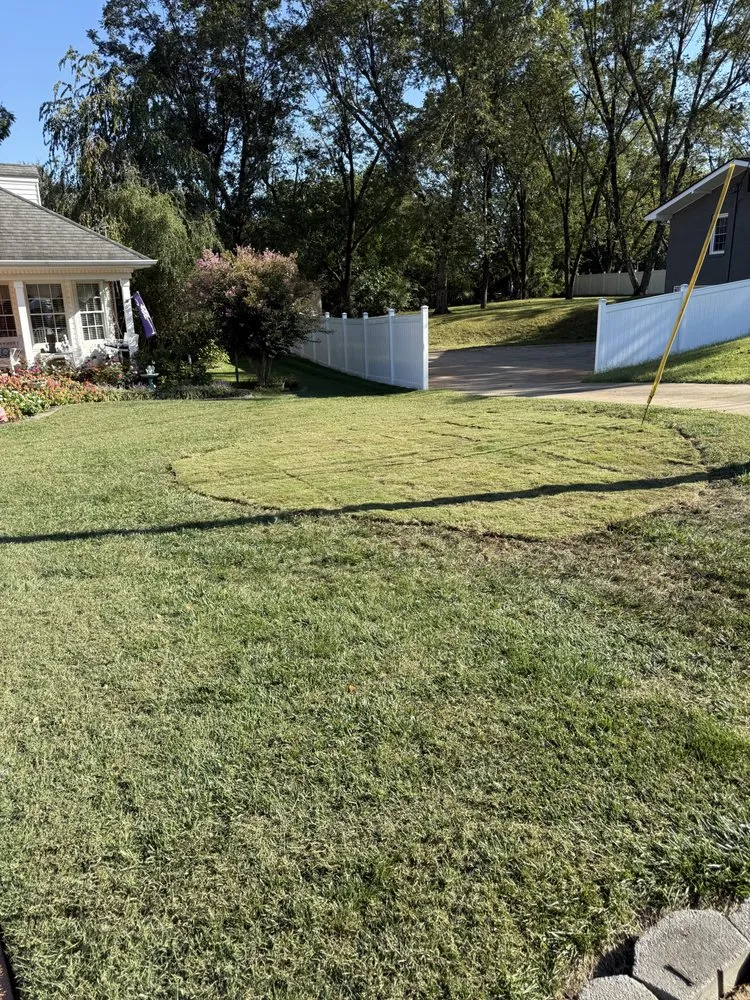 Reliable residential landscaping in Greenville, SC by Omar’s Tree & Landscaping Services