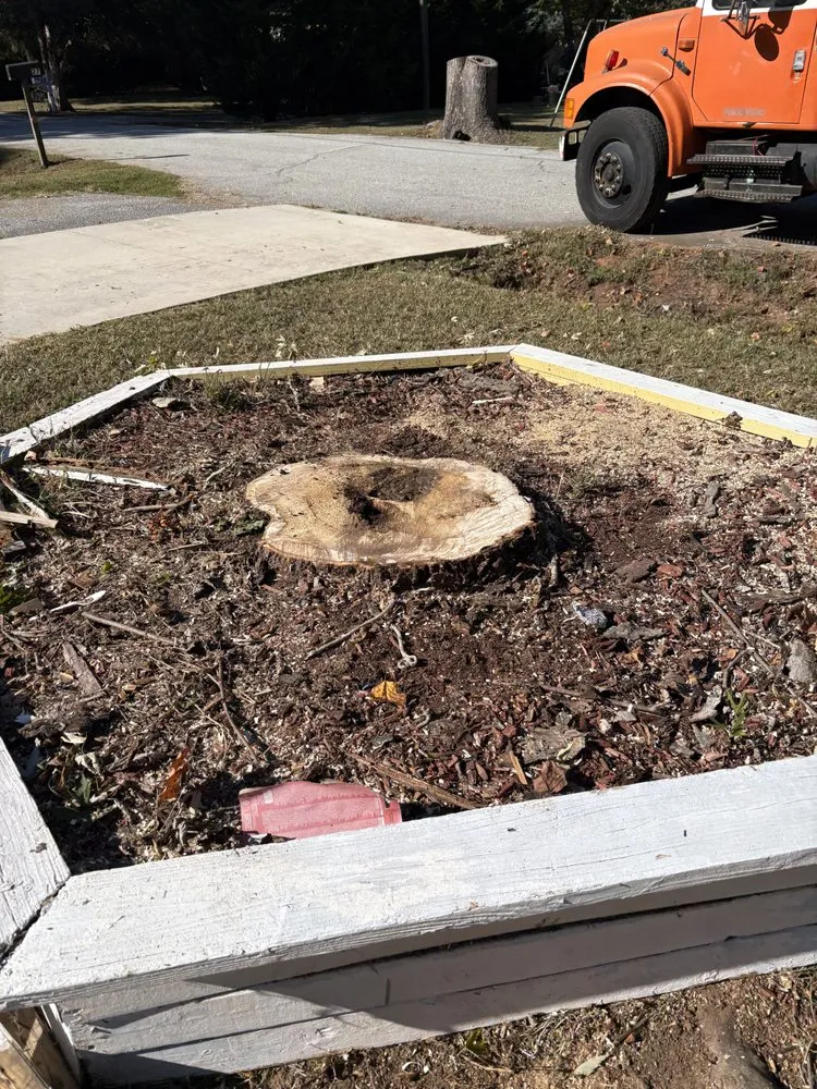 Affordable garden landscaping in Greenville, SC by Omar’s Tree & Landscaping Services