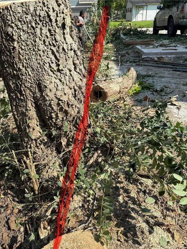 Professional lawn mowing service near you in Greenville, SC by Omar’s Tree & Landscaping Services