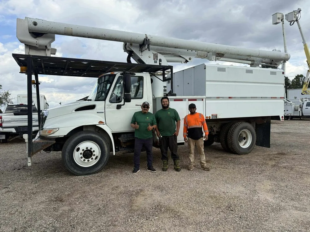 Top-rated garden landscaping near you in Greenville, SC by Omar’s Tree & Landscaping Services