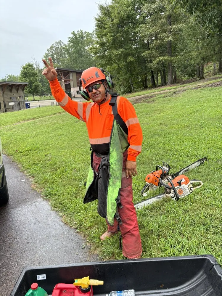 Expert landscape design in Greenville, SC - Omar’s Tree & Landscaping Services