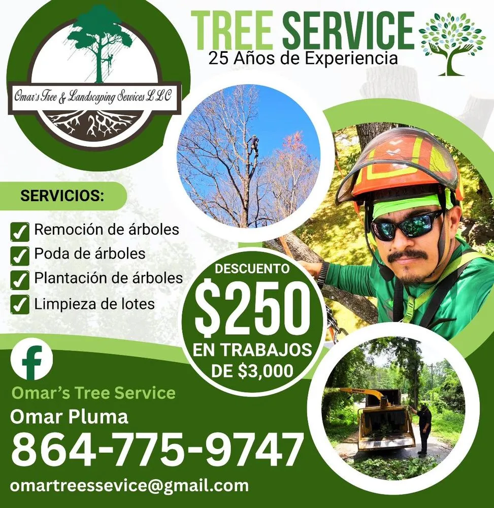 Expert lawn care service for homes across Greenville, SC - Omar’s Tree & Landscaping Services
