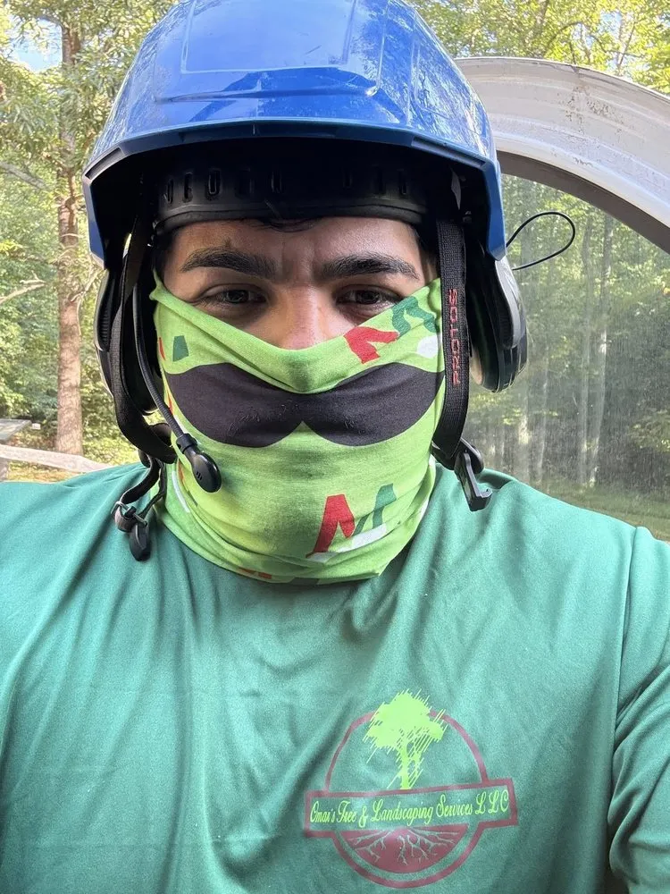 Expert garden landscaping for outdoor upgrades in Greenville, SC by Omar’s Tree & Landscaping Services