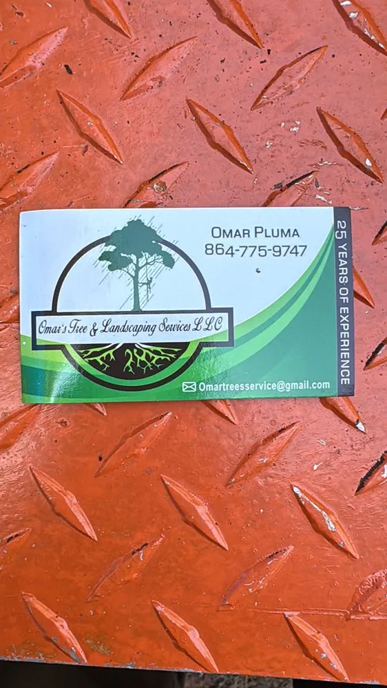 Top-rated landscape design in Greenville, SC - Omar’s Tree & Landscaping Services