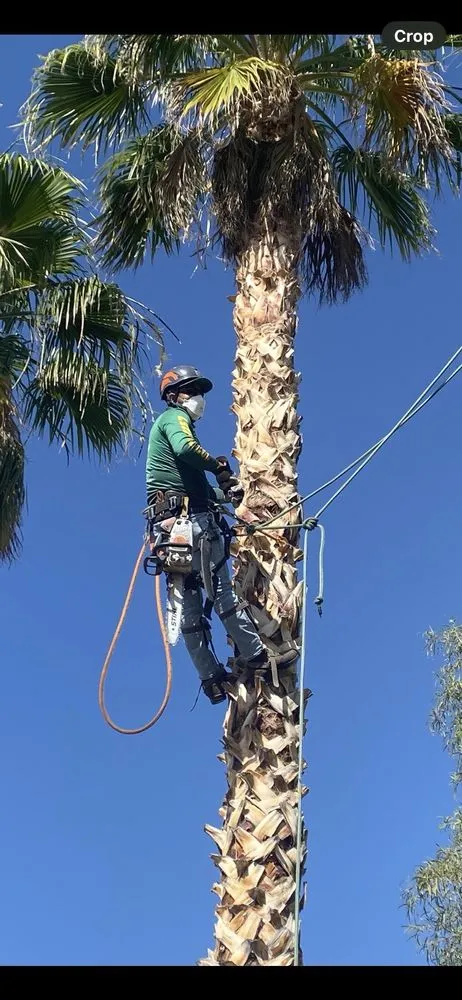Local garden landscaping experts serving Las Vegas, NV - Omars tree service