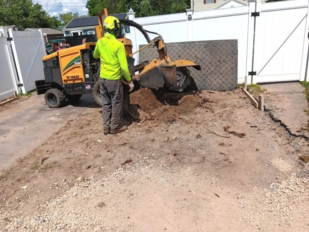 Expert residential landscaping near you in Cheverly, MD by Omc Landscape