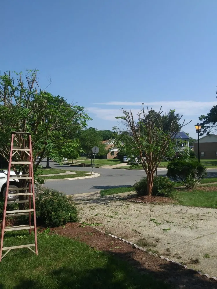 Trusted landscaping services for residential properties in Cheverly, MD by Omc Landscape