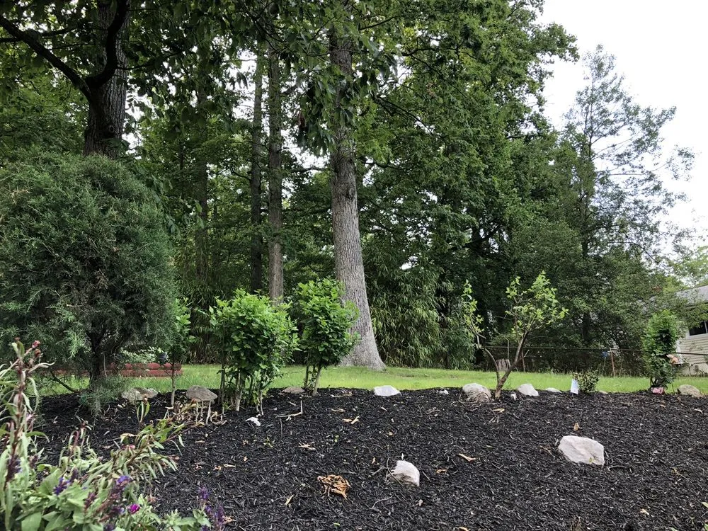 Trusted outdoor landscaping in Cheverly, MD - Omc Landscape