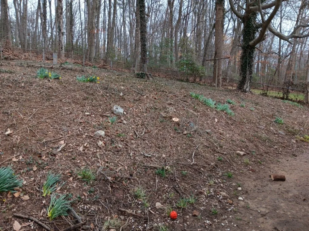 Local landscaping services experts serving Cheverly, MD - Omc Landscape