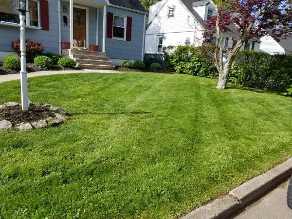 Custom landscaping services with custom design across Cheverly, MD - Omc Landscape