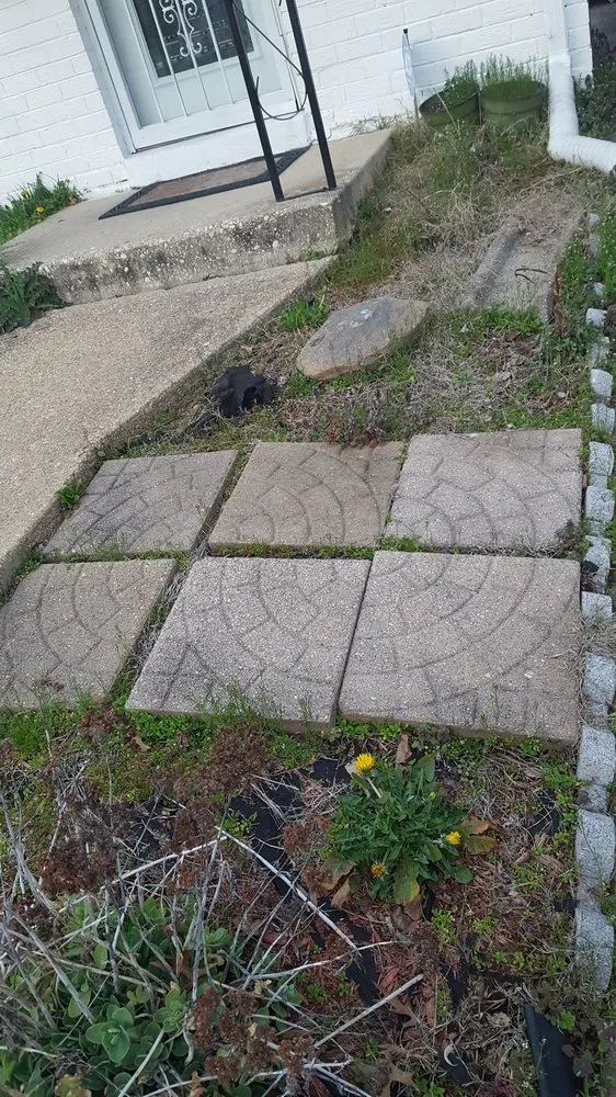 Expert landscaping services for beautiful yards in Cheverly, MD by Omc Landscape