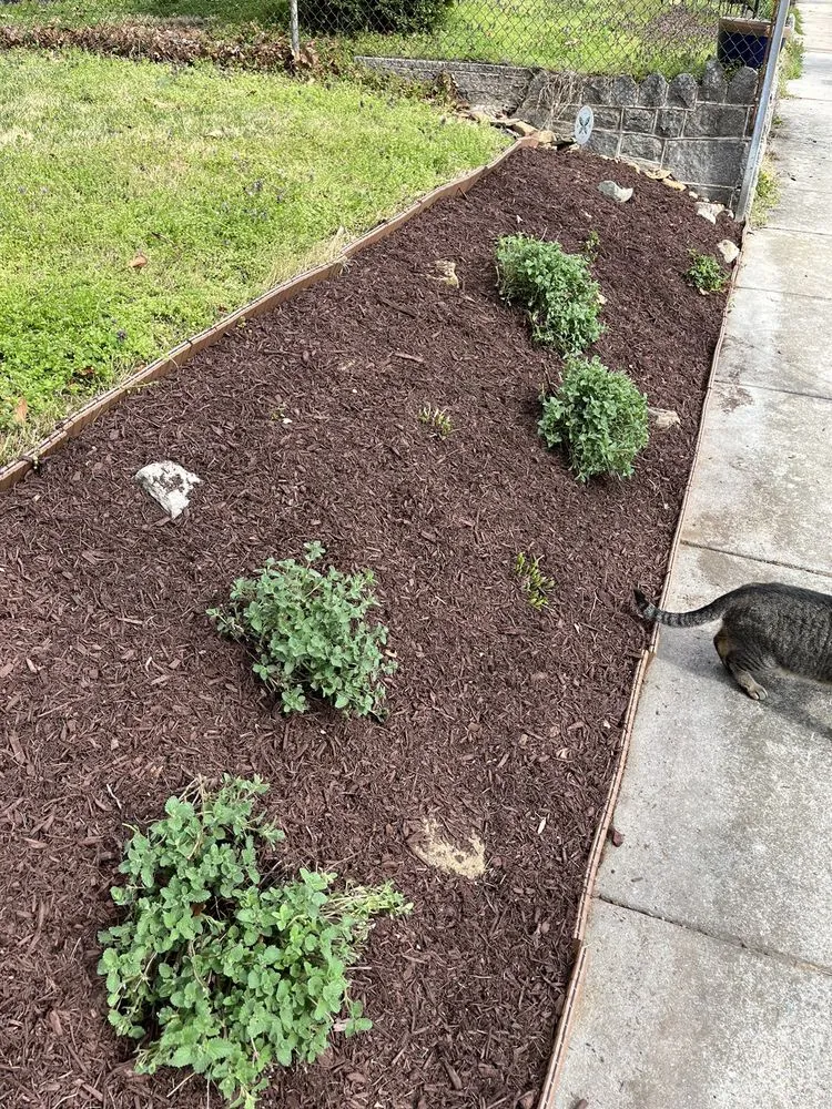 Custom yard cleanup service in Cheverly, MD by Omc Landscape