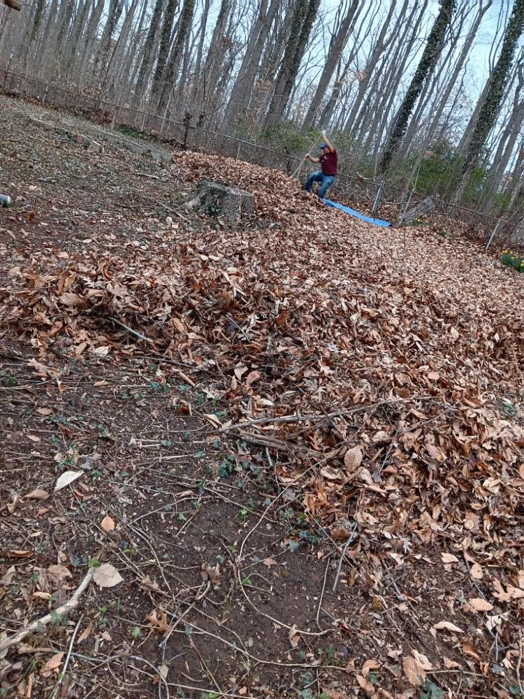 Trusted landscaping services near you across Cheverly, MD - Omc Landscape