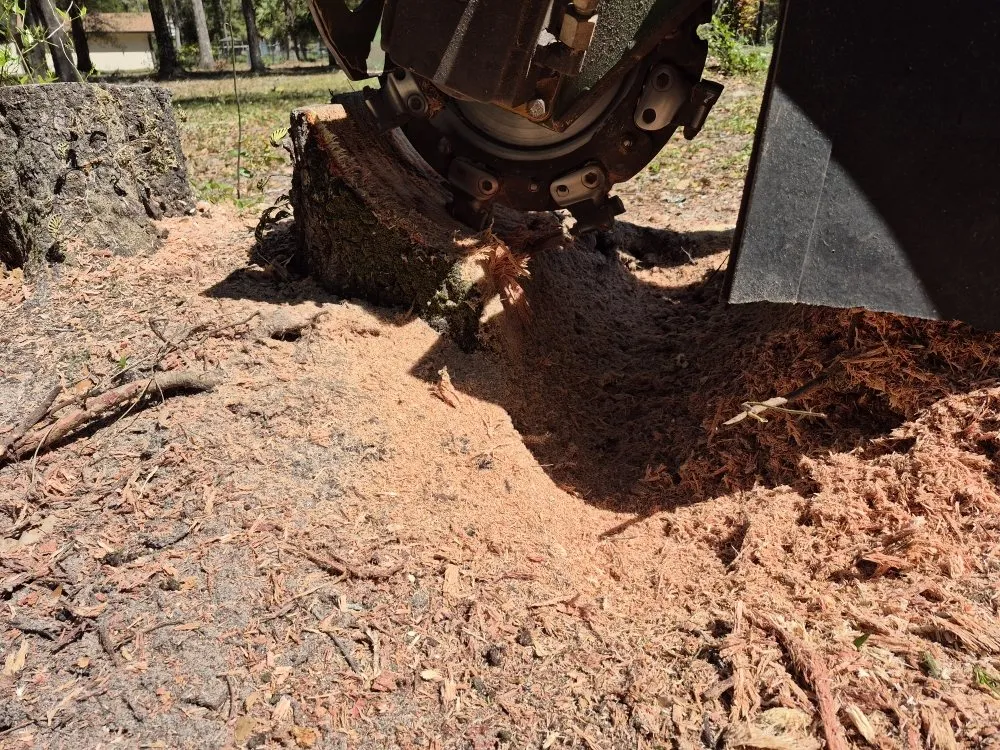 Trusted lawn mowing service experts serving Inverness, FL - OMC Landscape Professional