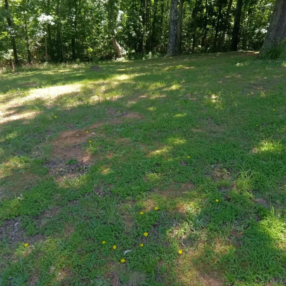 Affordable garden landscaping in Adairsville, GA by Omega 1 Lawn Service