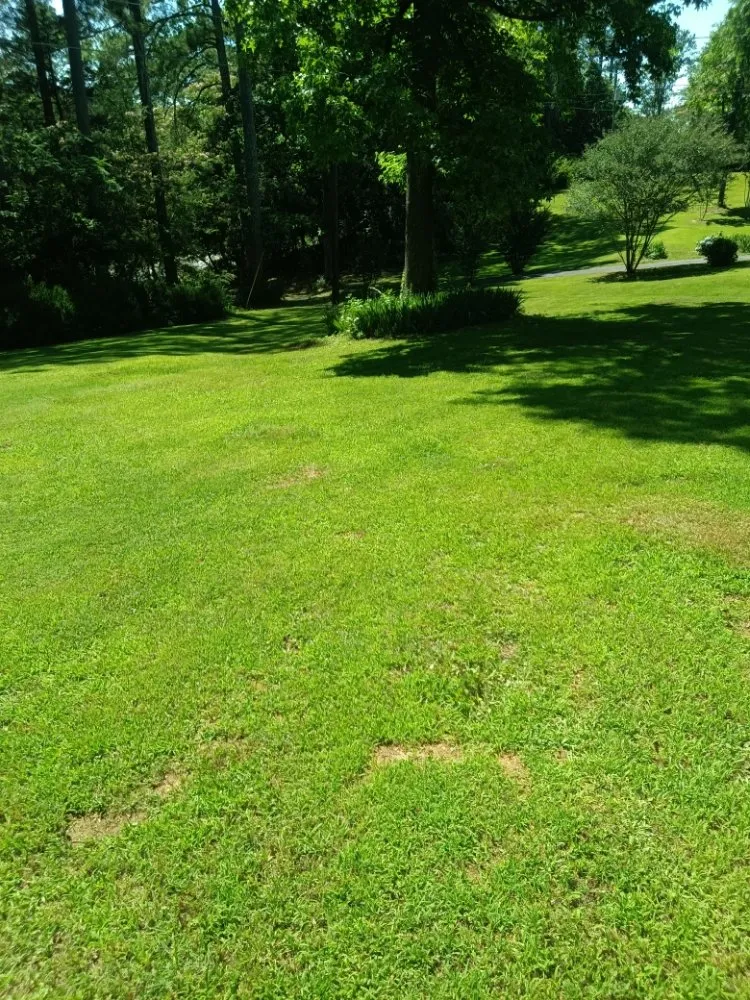 Expert residential landscaping near you across Adairsville, GA - Omega 1 Lawn Service