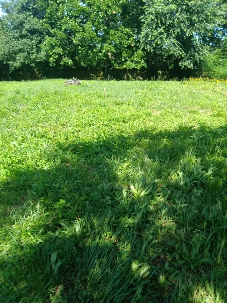 Expert garden landscaping in Adairsville, GA by Omega 1 Lawn Service