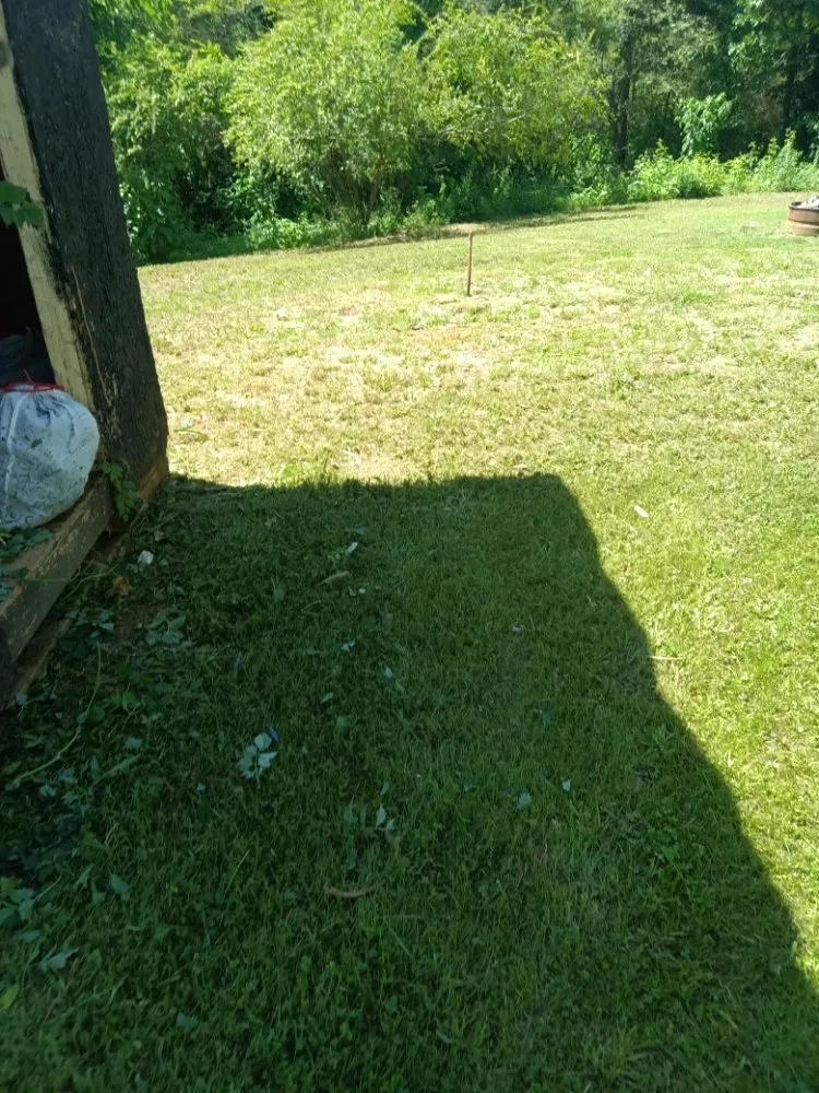 Reliable residential landscaping with custom design in Adairsville, GA by Omega 1 Lawn Service