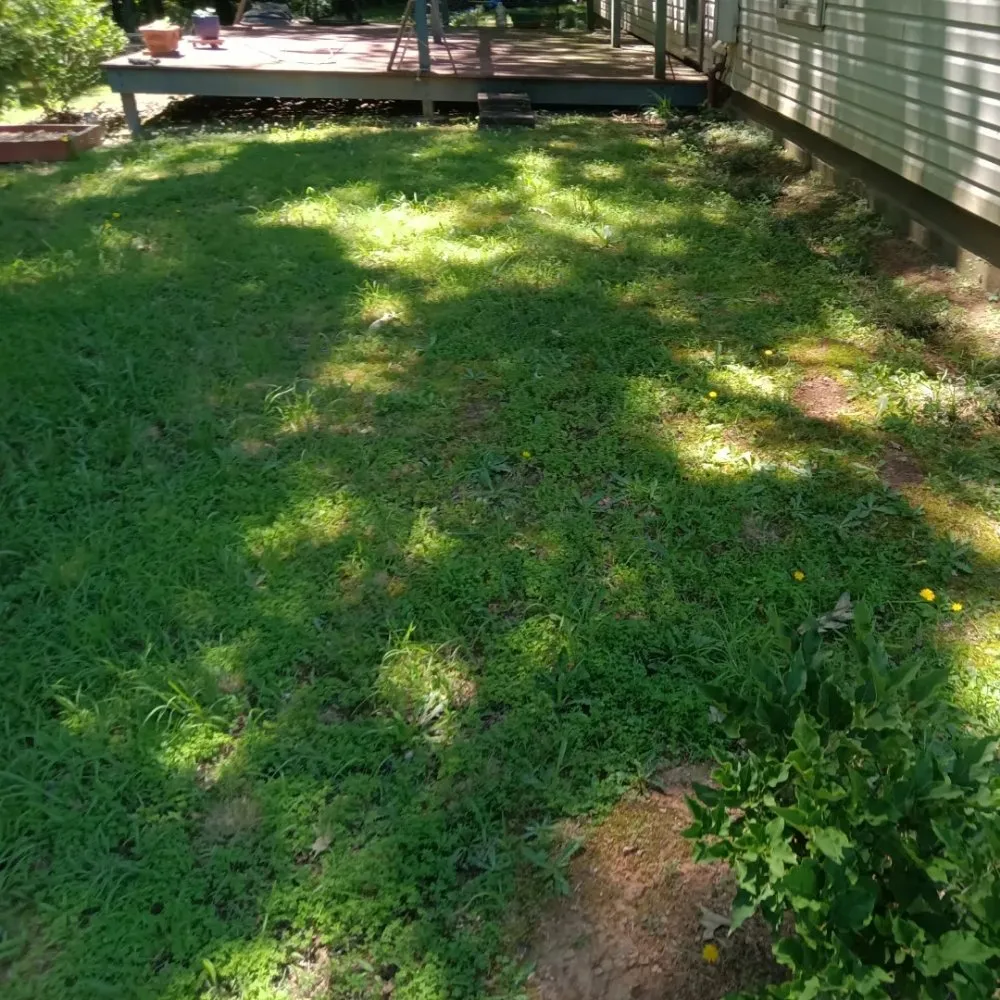 Local garden landscaping in Adairsville, GA by Omega 1 Lawn Service