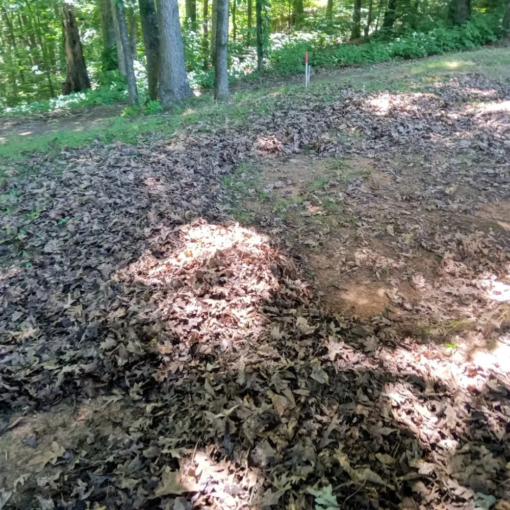 Custom yard maintenance in Adairsville, GA - Omega 1 Lawn Service