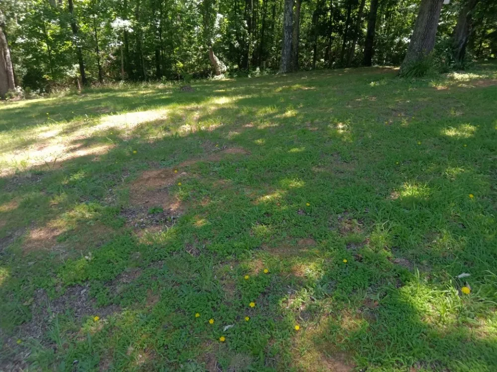 Top-rated garden landscaping experts serving Adairsville, GA - Omega 1 Lawn Service