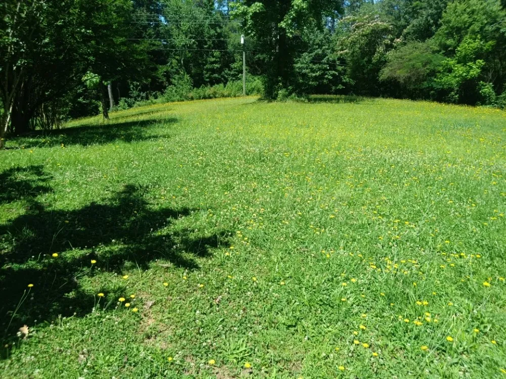 Expert residential landscaping experts serving Adairsville, GA - Omega 1 Lawn Service