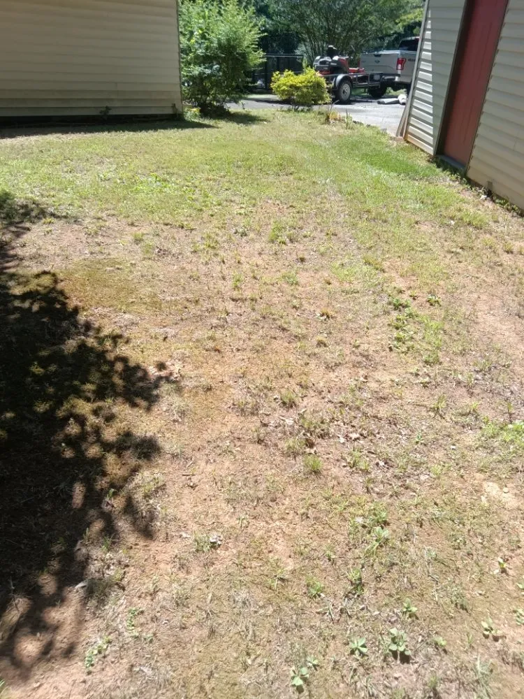 Top-rated garden landscaping experts serving Adairsville, GA - Omega 1 Lawn Service