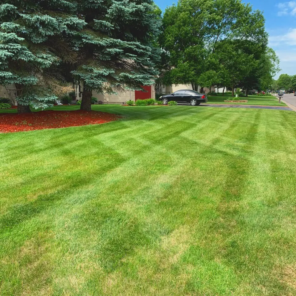 Expert outdoor landscaping in Bloomington, MN - Omega Land-Care