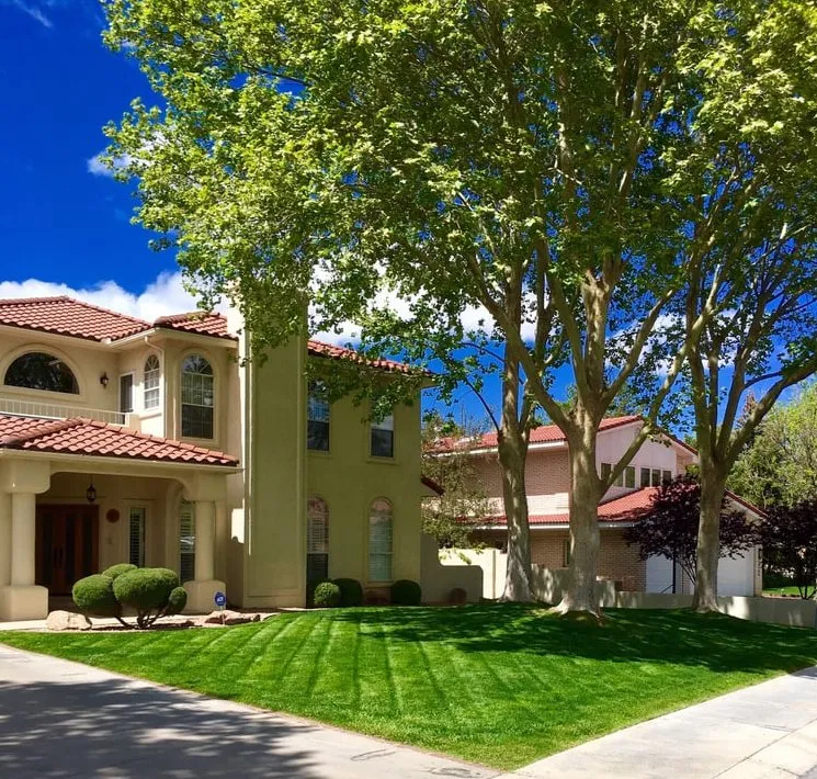 Trusted yard cleanup service in Albuquerque, NM - Omega Landscaping