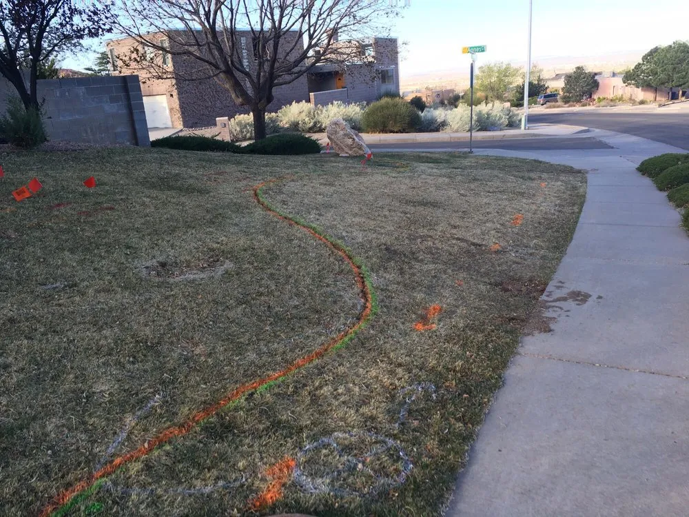 Professional yard cleanup service for year-round maintenance across Albuquerque, NM - Omega Landscaping